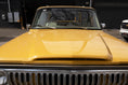 Load image into Gallery viewer, 1975 Jeep Cherokee Chief