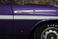 Load image into Gallery viewer, DODGE CHALLENGER
